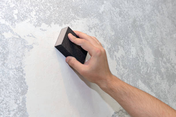  Triangle, VA Mold Removal Pros