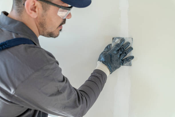 Best Comprehensive Air Testing for Mold Contaminants  in Triangle, VA