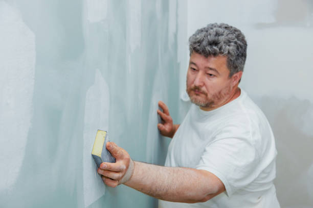 Best Environmental Consulting for Mold Prevention  in Triangle, VA